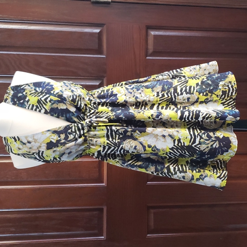 BB Dakota dress